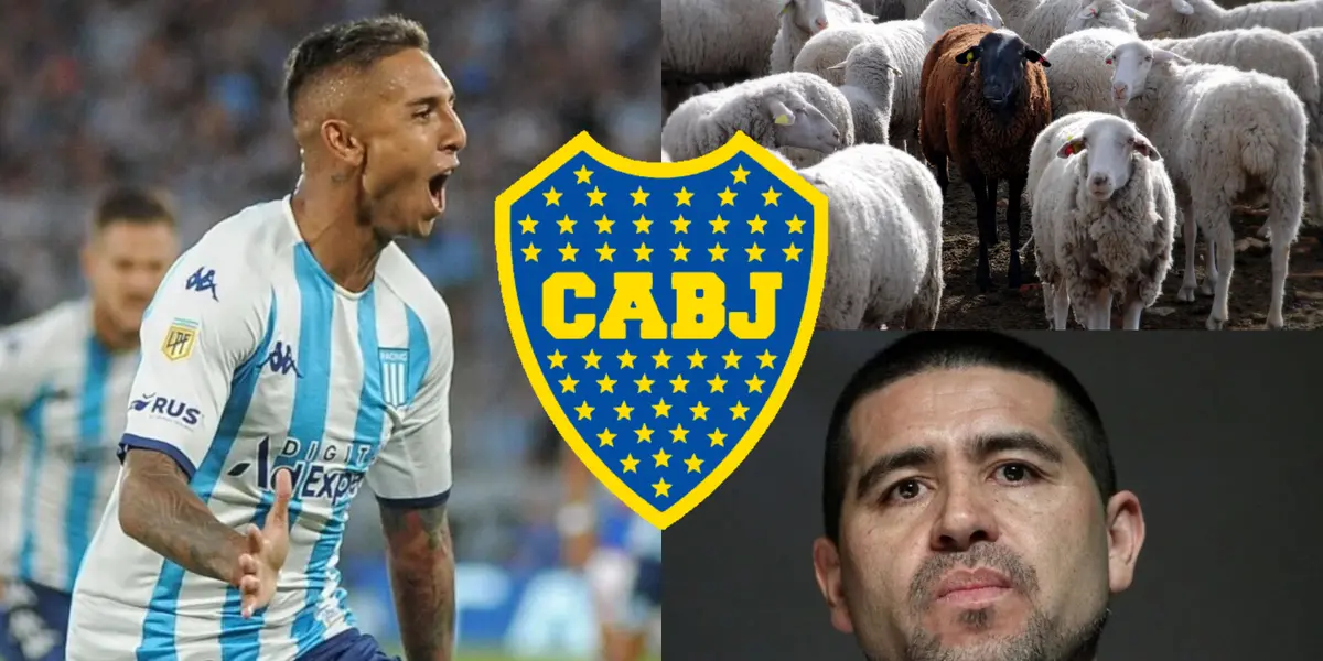 Almendra fue la oveja negra de Boca.