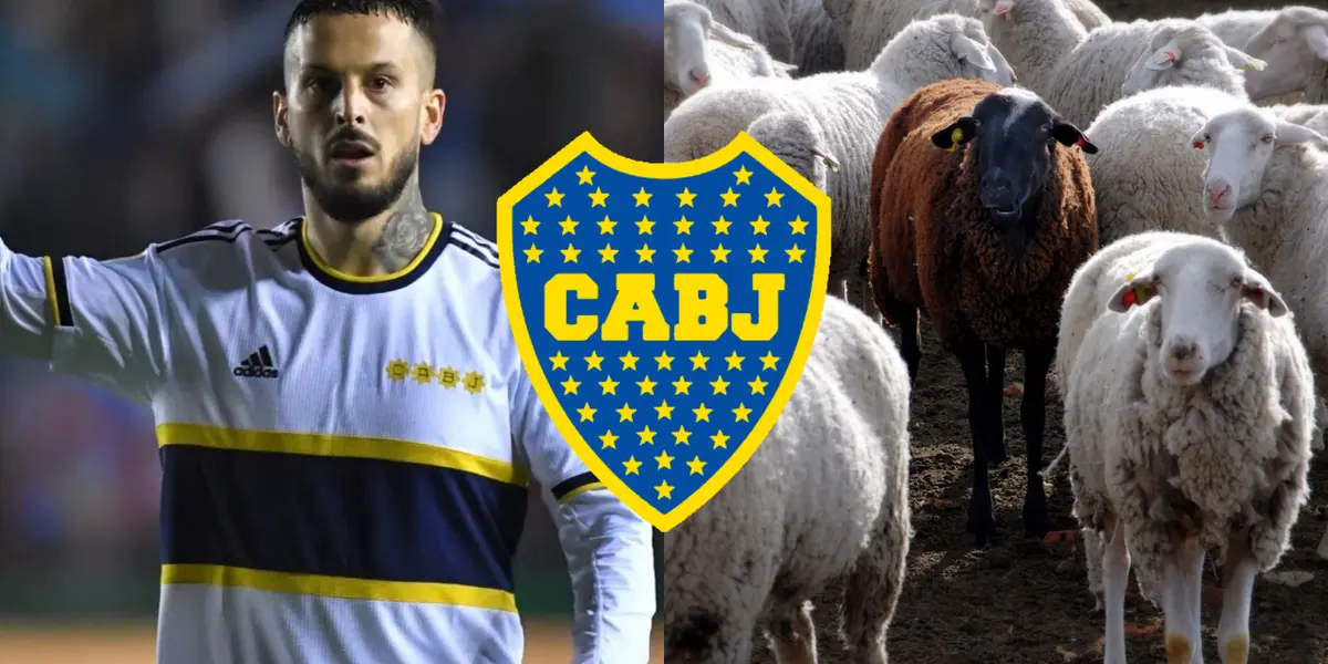 Benedetto es la oveja negra de Boca.